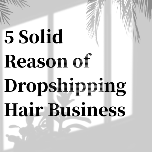 5 Solid Reason of Dropshipping Hair Business