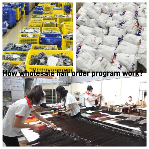 How wholesale hair order program work?